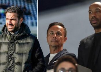 Arsenal greats Cesc Fabregas, Thierry Henry get Como 1907 back to Serie A for the first time in 21 years