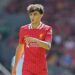 Deadline Day: Liverpool starlet Bajcetic joins RB Salzburg on loan