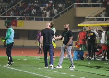 Nigeria vs Zimbabwe: Coach Nees stands firm on Arubi as No.1, snubs in-form Chipezeze