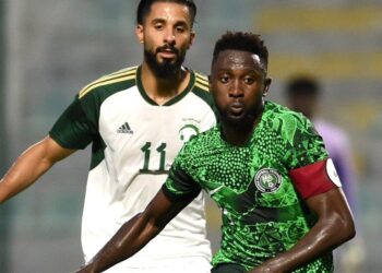 ‘Individual brilliance isn’t enough’ – Wilfred Ndidi issues challenge to Super Eagles 