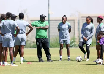 CHAN 2024: Eric Chelle reveals final Super Eagles squad as Nigerian champions Remo Stars shine