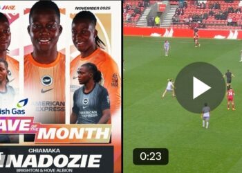 Brighton’s Nigerian import breaks through with first WSL Save of the Month win