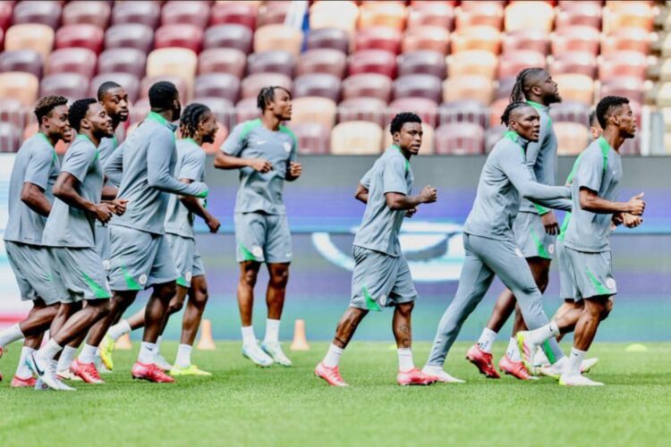 Two Super Eagles stars emerge standout picks in AFCON 2025 scouting list