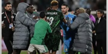 AFCON drama: CAF release statement over Super Eagles-Algeria match incident