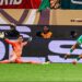 Top 7: Best goalkeepers at AFCON 2025