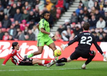 “Absolutely fantastic” – Nigeria’s Alex Iwobi earns plaudits from ex-PL star following Fulham’s win over Sunderland