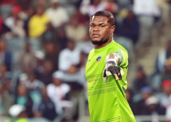 Former Super Eagles coach issues verdict on Stanley Nwabali’s Chippa United exit