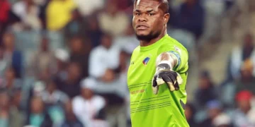 Former Super Eagles coach issues verdict on Stanley Nwabali’s Chippa United exit