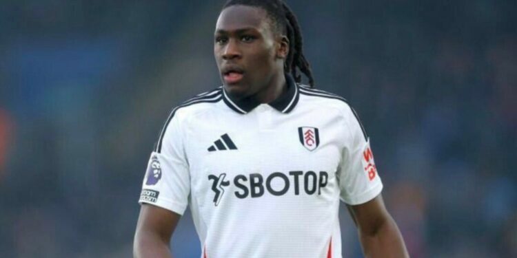 Calvin Bassey stays on bench as Fulham surrender lead in home defeat to Everton