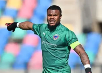 Former Super Eagles coach issues verdict on Stanley Nwabali’s Chippa United exit