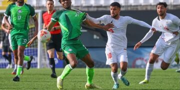 Super Eagles: Assessing Fernandez, Nwaiwu performance after impressive debut vs Iran