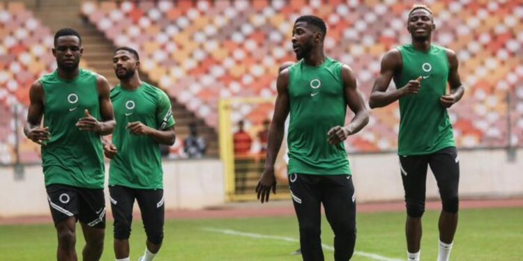 ‘Downright lazy’ – Ex-Chelsea striker tears into Super Eagles forward