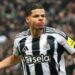 Super Eagles-eligible Osula ends Man United’s unbeaten run with stunning late winner for Newcastle