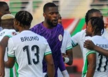 Ex-Super Eagles coach urges NFF to start planning for World Cup