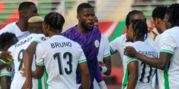 Ex-Super Eagles coach urges NFF to start planning for World Cup