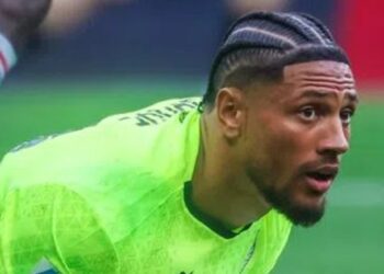 ‘I spoke to Gernot Rohr’ – Former Super Eagles striker reveals how he made Okoye choose Nigeria