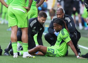 Fulham boss shares update on Nigeria’s Alex Iwobi after injury in Brentford stalemate