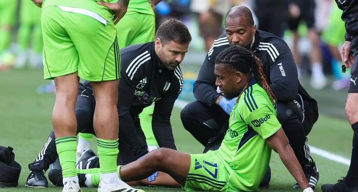 Fulham boss shares update on Nigeria’s Alex Iwobi after injury in Brentford stalemate
