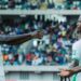 ‘That is the focus’ – Super Eagles star breaks silence on Premier League move