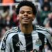 Nigeria-eligible Osula sends Super Eagles a reminder with brace in Newcastle’s win over West Ham