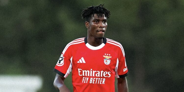 “Happy to renew” – Nigerian teen on role in Eagles’ plans under former Fulham boss