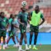 Super Eagles striker edges closer to Fiorentina move after new transfer bid