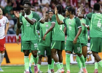 “The next AFCON will be more difficult” – Ex-Super Eagles star warns Nigeria