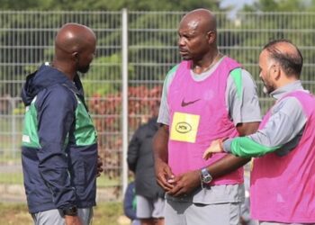 Ex-Super Eagles coach identifies major concern over what comes after NFF investigation