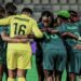 NFF committee reveals biggest causes of Nigerian football failures