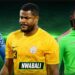 Okonkwo vs Nwabali vs Okoye: Who should be Super Eagles’ No. 1?