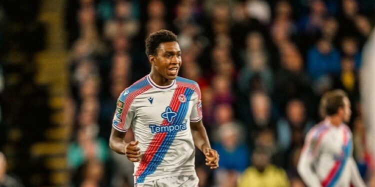 Super Eagles target gets first Crystal Palace start