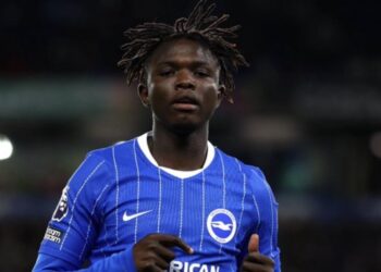 ‘I don’t know’ – Brighton star gives honest assessment of Super Eagles prospect