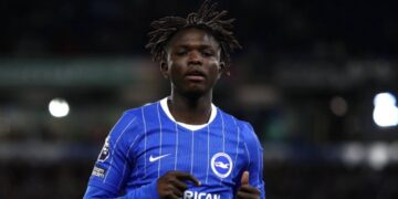 ‘I don’t know’ – Brighton star gives honest assessment of Super Eagles prospect