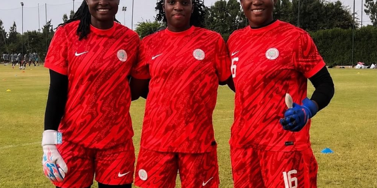 Official: Exciting Nigerian goalkeeper joins English outfit Crystal Palace