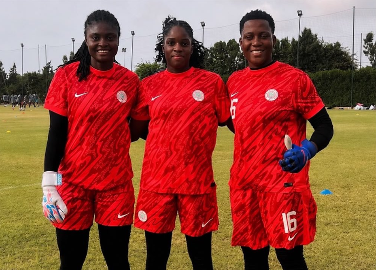 Official: Exciting Nigerian goalkeeper joins English outfit Crystal Palace