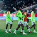 Super Eagles urged to prepare younger players as Eric Chelle gets advice